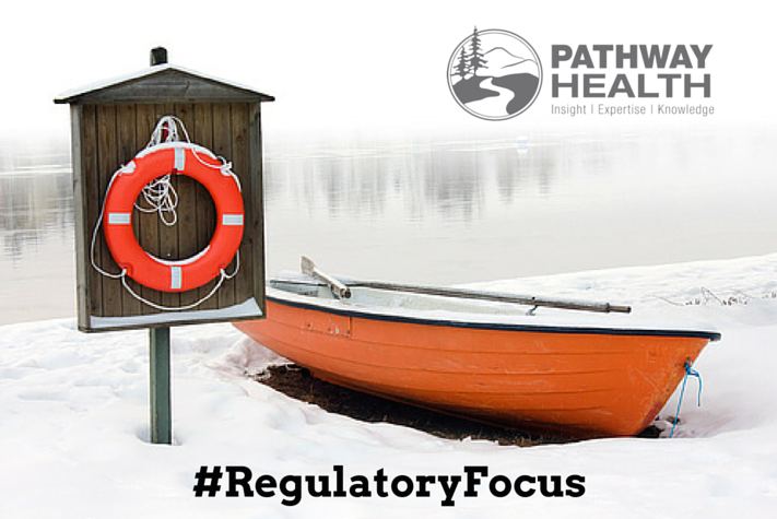 Regulatory Focus