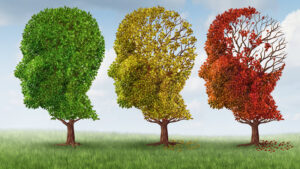 Dementia Training Library - Direct Care Staff Training Modules